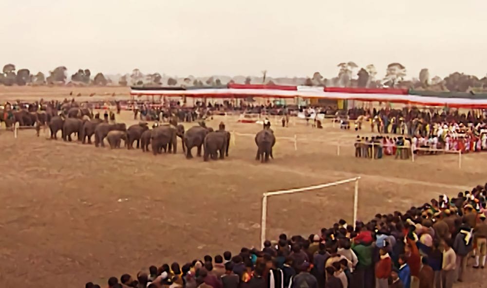 Kaziranga Elephant Festival