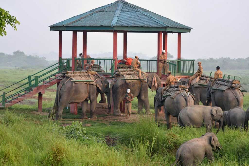 Kaziranga National Park a World Heritage Site in Assam