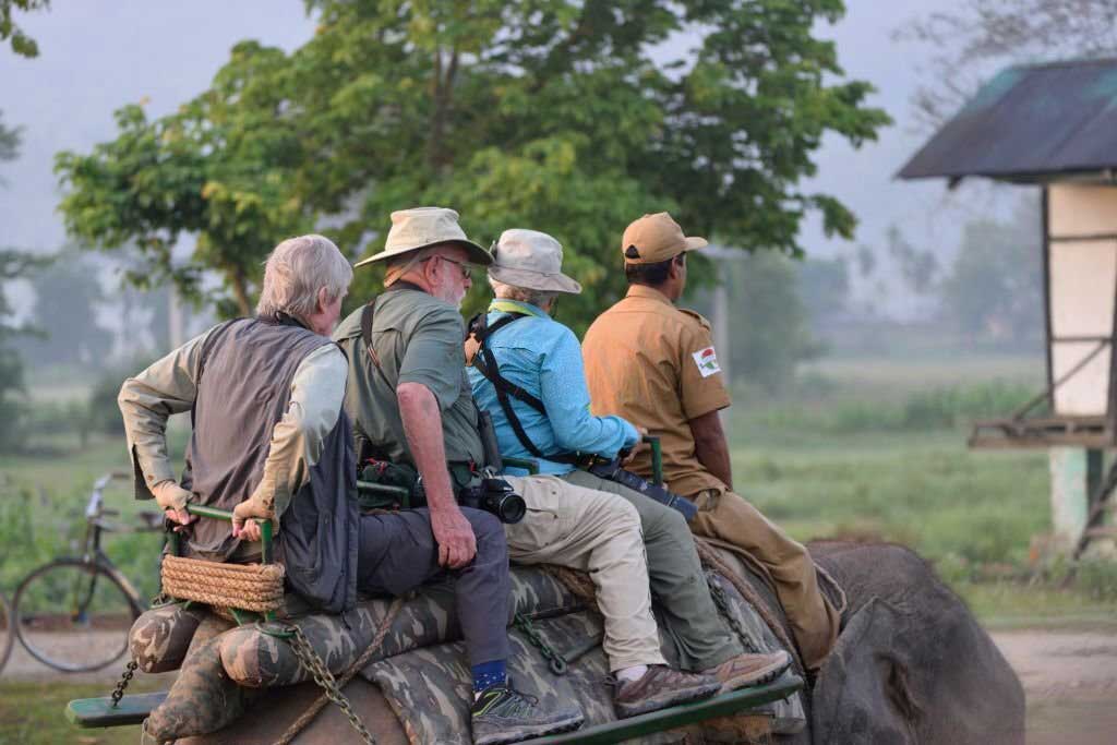 Kaziranga Safari