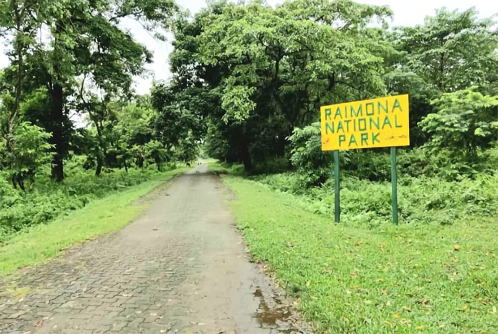 onnecting Road in Raimona National Park