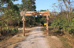 Raimona National Park in Assam! Home of Flora and Fauna