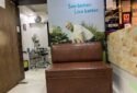 Kenia Eye Hospital in Mumbai