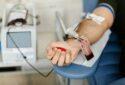 Saifee Hospital Trust Blood Bank in Mumbai, Maharashtra