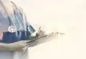 Dr. Sanjib Mandal - Diabetologist In Kolkata -