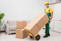 Deluxe Cargo Packers And Movers Badarpur - New Delhi