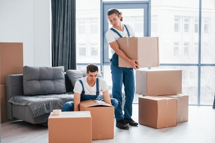 Packers-Movers-3
