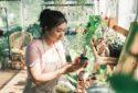Greeneries Wholesale plant nursery in West Bengal