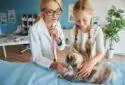 Touch and Heal Pet Clinic - Veterinary pharmacy in Kolkata, West Bengal