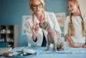 Poopers & Scoopers - Pet hospital in Kolkata -