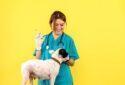 Mission Animal Health - Your Pet, Our Passion; Pet clinic & Pet Stores, Kolkata, West Bengal