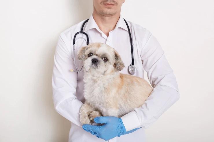 Stray Pet Clinic - Veterinarian in Kolkata, West Bengal - Type India