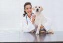 Get Well Pet Centre - Pet supply store in Kolkata, West Bengal