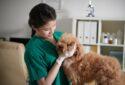 Veterinary Diagnostic | Kolkata | Pet Lab - Diagnostic center in Kolkata, West Bengal